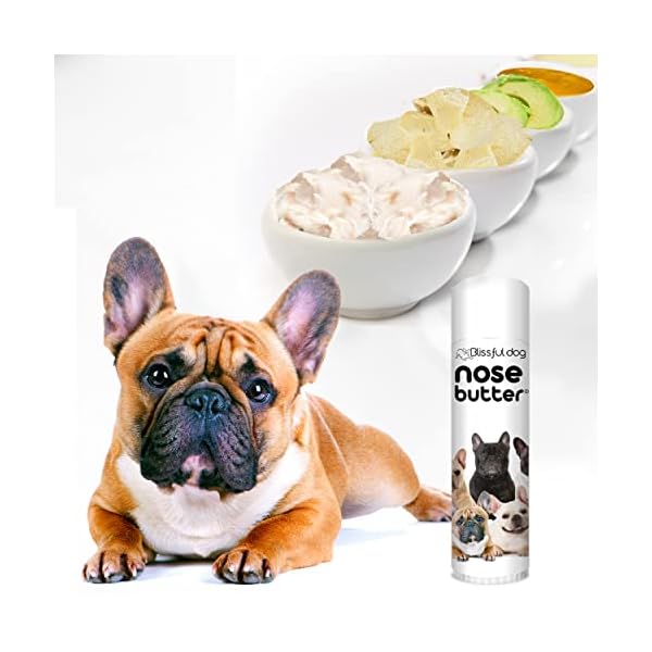 The-Blissful-Dog-All-4-French-Bulldog-Nose-Butter-Dog-Nose-Butter-050-Ounce The Blissful Dog All 4 French Bulldog Nose Butter - Dog Nose Butter, 0.50 Ounce