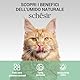 Schesir, Thunfischfilets in Gelee, ergänzendes Nassfutter für Katzen, Originalrezept, 100% natürlich, 12 Dosen à 70 g