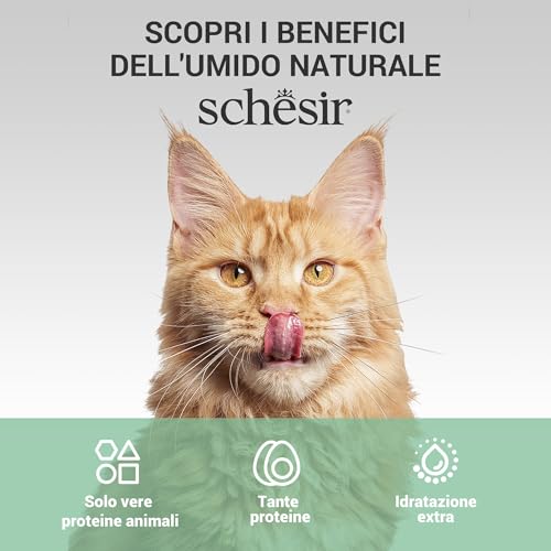Schesir, Thunfischfilets in Gelee, ergänzendes Nassfutter für Katzen, Originalrezept, 100% natürlich, 12 Beutel à 70 g