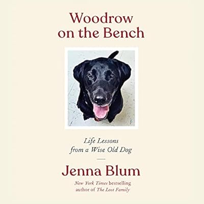 Woodrow on the Bench