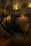 AOFOTO 6x8ft Gloomy Gothic Medieval Vintage Room Backdrop Scary Halloween Night Photography Background Vampire Ghost Party Decorations Haunted House Interior Stone Wall Stairway Photo Studio Props