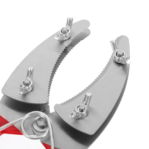 Tijeras TEHAUX para corte preciso de corteza miniatura 3