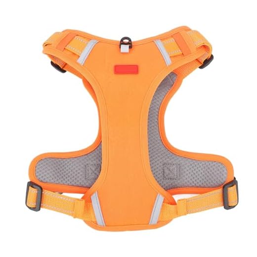 Dog Vest Harness, Lightweight Escape Proof Pet Safety Harness, Comfortable and Adjustable for Medium Dogs for Everyday Walking (L)