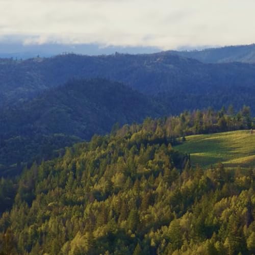 Couverture de Testphase