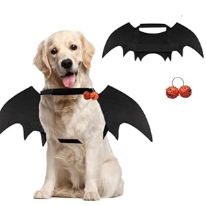 Katzen Halloween kostüm Hund Fledermaus flügel, Schwarz hundekostüm Halloween Inklusive fledermausflügel Hund und Kürbisglocken,für Haustier Helloween Party,Cosplay (M)