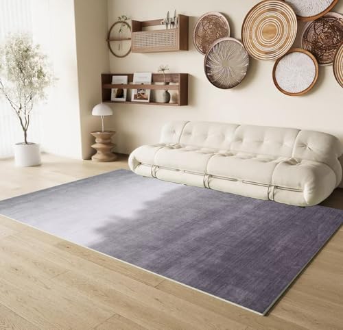 Frisence O J[ybg 200×300cm 􂦂 k ӂӂ  h h ~ߕt 炩 VM[O }CNt@Co[ zbgJ[ybgEg[Ή q rO Q ybg FRISY07-D55