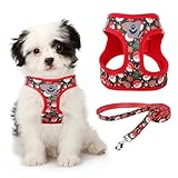 KOOLTAIL Christmas Dog Harness for Small Medium Dogs,Dog Harness and Leash Set, Step in No Pull Soft Mesh Padded Adjustable and Reflective Pet Vest Harness Puppy, Extra Harness for XS S Dogs, M