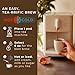 Gya Tea Co Mid-Day Refresh Tea Gift Set (24 ct) - Assorted Tea Pod Variety Pack with Ceylon, Lemon, Oolong & Earl Grey 4 Flavors for Refresh & Energy