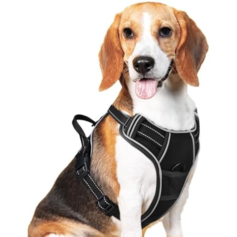 Joytale Step-in Mesh Dog Harness, No Pull Dog Harness, Anti-Escape Dog Reflective Harness, Adjustable Soft Breathable Padded Pet Vest for Everyday Walking and Training for Medium Dogs, Black,M Cover