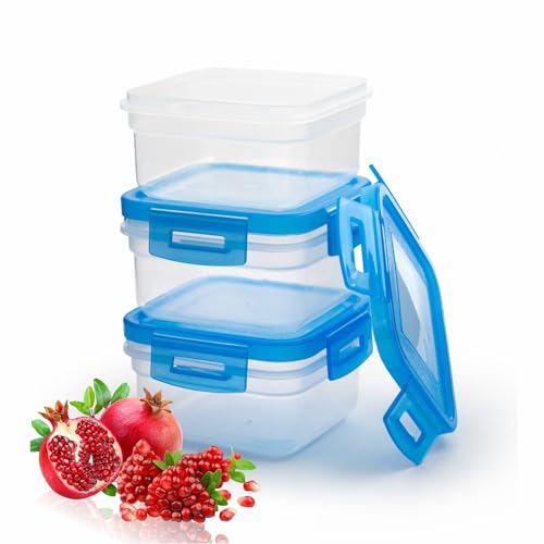 LORD C Square Container Reusable Deep Airtight Clear Meal Prep Boxes With Blue Lockable Lid Kitchen Accessory Meal Used For Storing Food Fruits Pasta Ice Cream Coffee Beans 200ml (3)