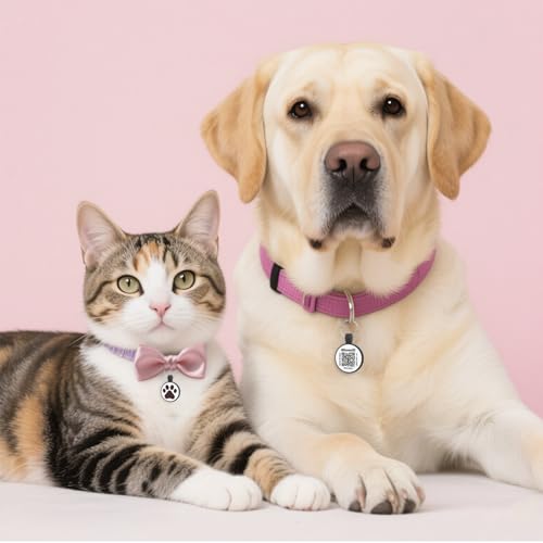 Médaille à code QR pour chat avec alerte de localisation et contacts multiples