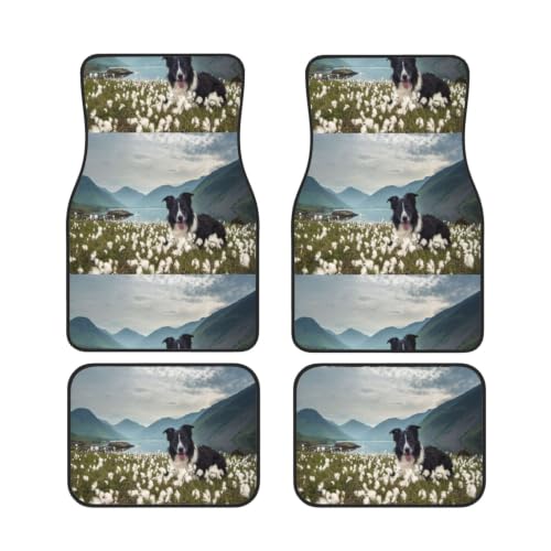 Alfombrillas antideslizantes para coche juego de 4 protectores impermeables de neopreno Border Collie