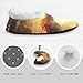 ALAZA Fire Phoenix Abstract House Fleece Slippers Comfy Bedroom Shoes Anti-Slip for Women US 7-8