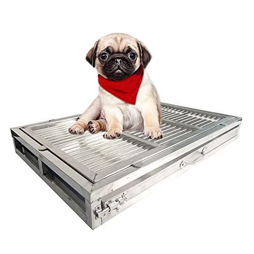 Support de tapis propreté en acier inoxydable durable et hygiénique pour chien