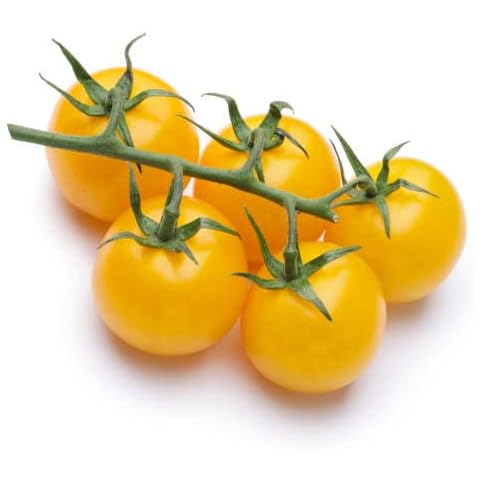 Yellow Cherry Tomato Goldkrone for pots 100 Seeds + Freebie + Plant tag Cover