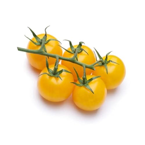 Yellow Cherry Tomato Goldkrone for pots 100 Seeds + Plant tag + Freebie