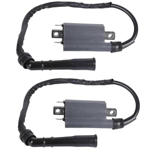 Bobine d'Allumage Moto Haute Performance Twowinds Compatible Yamaha XV 750 1100 Virago V Star