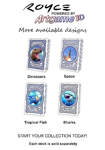 Artgame 3D Lenticular Playing Card Deck (Space) #TOP4