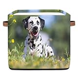 Grand panier de rangement : 33 x 33 x 33 cm. Boîtes de rangement en tissu de grande capacité, assez pour répondre à vos besoins de rangement.