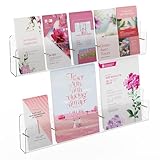 PecMuikee Brochure Holder Wall Mount，2-Pack Acrylic Pamphlet Holder Display Stand with Magnetic Golden Bolt，Wall Magazine Rack for Organizer Trifold Flyer, Leaflets,Document, Literature- (5 Grid)