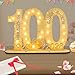 Seutgjie Deko 100 Geburtstag Frauen Männer 1926-2026 Geldgeschenk mit LED Lichterkette Fliege und Geschenkpapier für Jubiläum Tischdeko Originelle Holz Schild Gästebuch