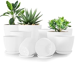Utopia Home 10er-Pack Weiße Übertöpfe mit Untersetzern