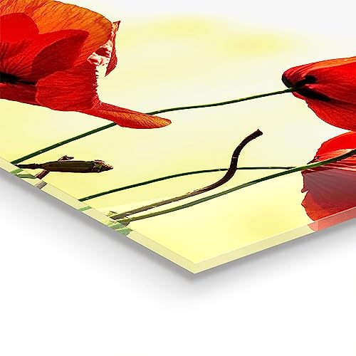 Panneau de cuisine Wallfluent grand format 125x50 cm avec coquelicots - 5
