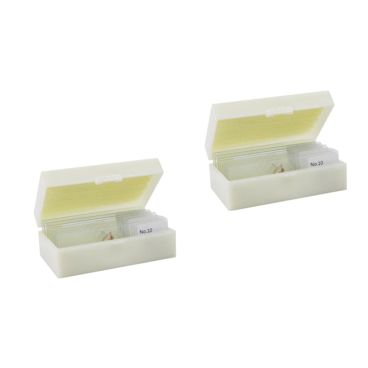 Cabilock 20pcs Microscope Prepared Specimens Slides Set Glass Samples for Educational Use Includes Diverse Specimens for Students and Boys and Exploration