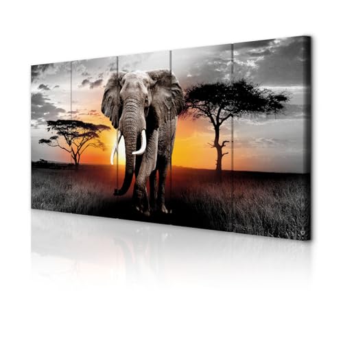 decomonkey Bilder Afrika Tiere Elefant 200x80 cm 5 Teilig Leinwandbilder...