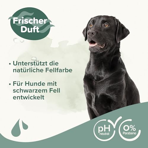 BEAPHAR - Shampoo Für Schwarzes Fell - Unterstützt Die Natürliche Fellfarbe - Hautfreundlich - Mit Salbei Und Aloe Vera - Ph-Neutral - 0% Parabene, Silikone - Frischer Duft - Vegan - 250 ml