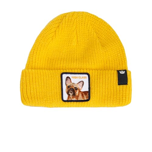 Beanie Goorin Bros. The High Class bonnet confortable au design Beam coloré