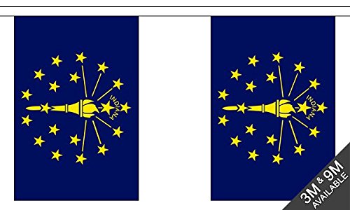 Flagtex Indiana Fabric Bunting – 3m with 10 Flags – Indoor & Outdoor Decoration – String Flags Banners IN State USA American Midwest