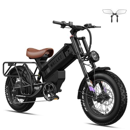 Wallke R60C 4000W Long Range Electric Bike for Adults, Fat Tire All Terrain Ebike with Full Suspension & Torque Sensor, Up to180 Miles &44MPH, for Commute, Mountain, Outdoor Adventure,UL2849 Compliant image 1