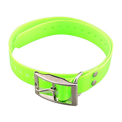 Aetertek Dog Training Collar Replacement Collar, Dog Collar, Pet Collar (Green)