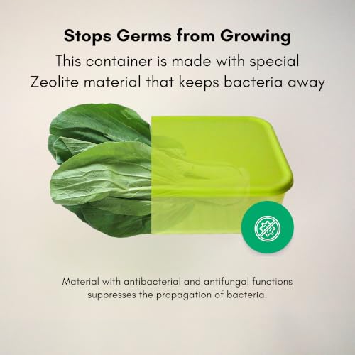 Image of LocknLock Fresh-Block Food Storage Container 3.2L (Set of 1) | Storage Containers for Fridge | Vegetable & Fruit Storage Containers for Fridge, Airtight Storage, BPA Free, Microwave & Dishwasher Safe