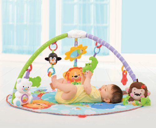 Amazon Com Fisher Price Precious Planet Deluxe Actividad Musical Gimnasio Suspendido Por Fabricante Baby