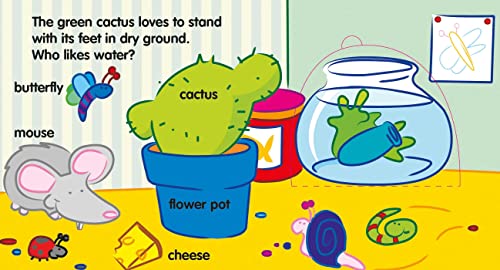 My Peekaboo Fun - Shapes, Colors & Opposites: Shapes, Colors and Opposites