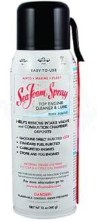 Corp Sea Foam Spray Ss-14