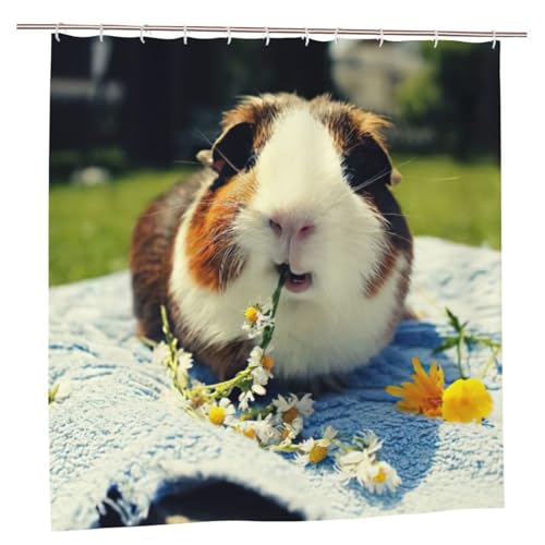 Rideau de douche imprimé cochon d'Inde : accessoires de salle de bain polyester 183x183 - 2
