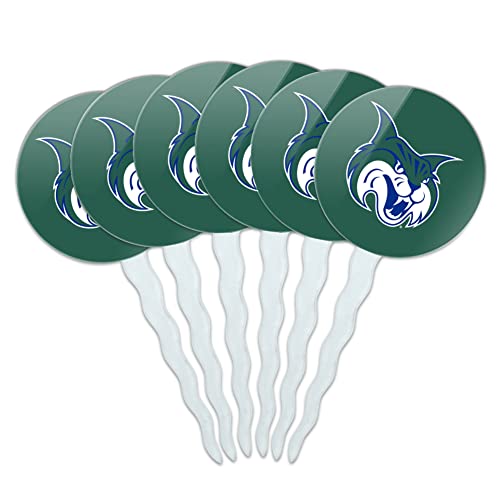 Georgia College Primary Logo Cupcake Picks Toppers Decoration Set of 6