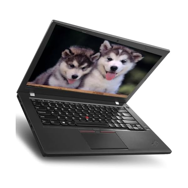 Lenovo ThinkPad T460s Business Laptop, 14-inch FHD(1920 x 1080) Ultrabook, Intel i5-6300U 2.4GHz up to 3.0GHz, 8GB DDR4 RAM, 256GB SSD, 720p Camera, Wi-Fi, Bluetooth, Windows 10 Pro 64-Bit (Renewed) - Image 7