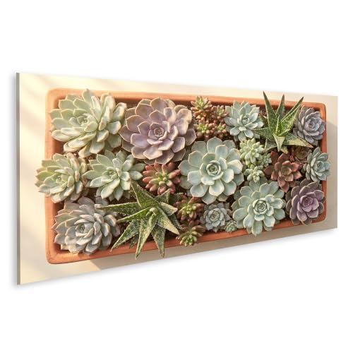 Toile de plantes succulentes harmonieuses pour creer un salon style nature moderne