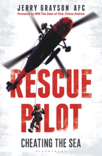 Rescue Pilot: Cheating The Sea view 2