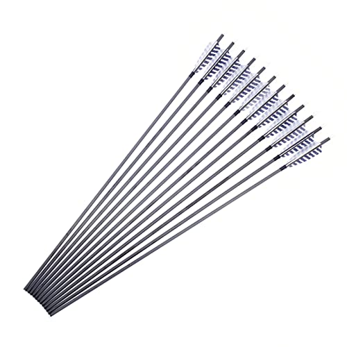 Mandarin Duck Carbon Arrow W Replaceable Points For Recurve & Long Bow (Pack Of 12) (500 Spine) #TOP4