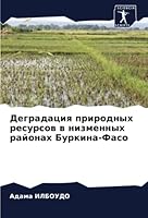 Деградация природных ре& 6205328410 Book Cover
