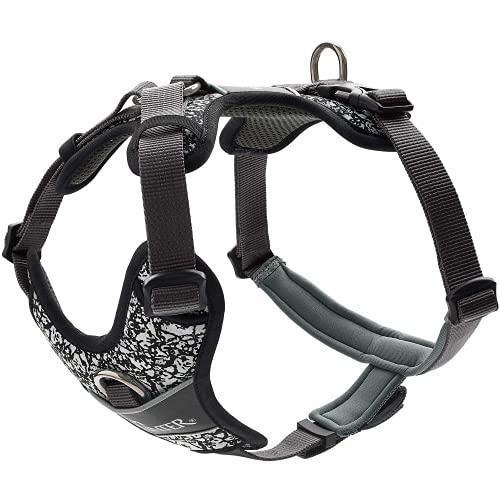 Divo Reflect Harness