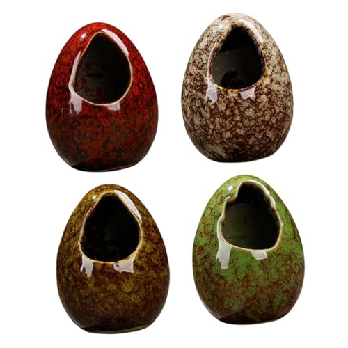 Homoyoyo 4 agfUChCACXJbv hgpiv[g _CjOe[up[eB[ ⎺ɓK