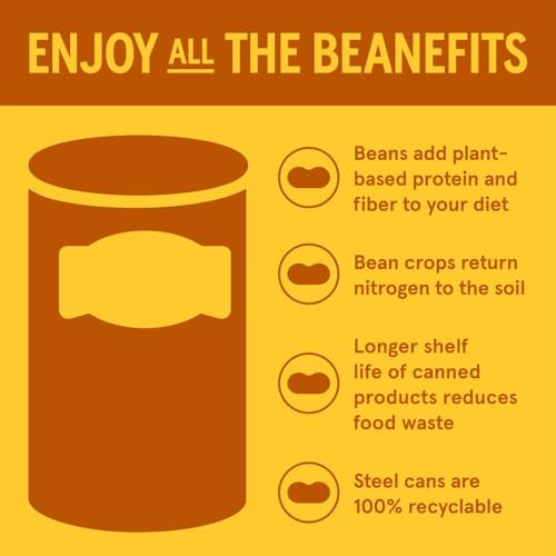 Bush'S Best 001891 Refried Beans Traditonal Pinto, Source Of Plant Based Protein And Fiber, Low Fat, Gluten Free thumb #2