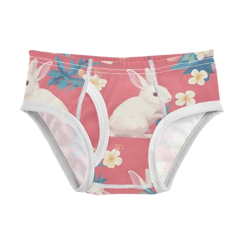 KLL Happy Easter Rabbit Bunny Pink Toddler Boys Soft Underwear Cute Children Undies
