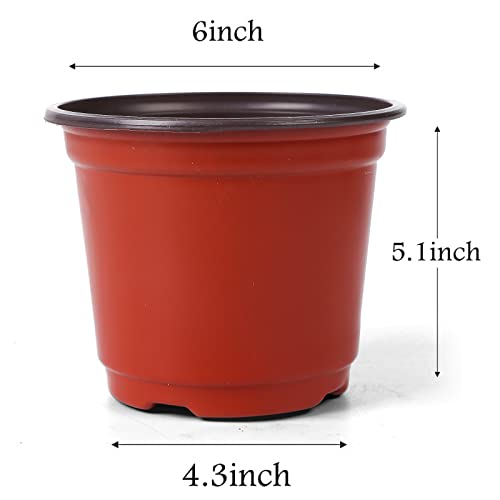Hectolife 100 Pcs 6 Inch Plant Nursery Pots,Plastic Seedling Pots,Seed Starting Pot Flower Plant Container For Succulents, Seedlings, Cuttings, Transplanting #TOP1